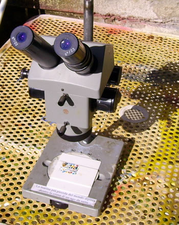 Lo stereoscopio