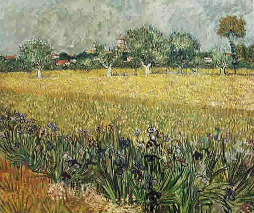 Dipingere la natura: un quadro di Vincent Van Gogh: campo con iris e veduta di Arles
