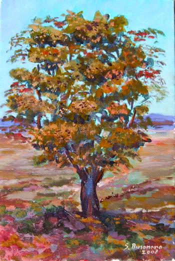Dipingere gli alberi: dipingere e stravolgere l'albero